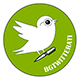 Стипендия BGTWITTER